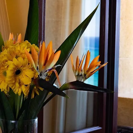 Otel Grande Delle Rose (adults Only)